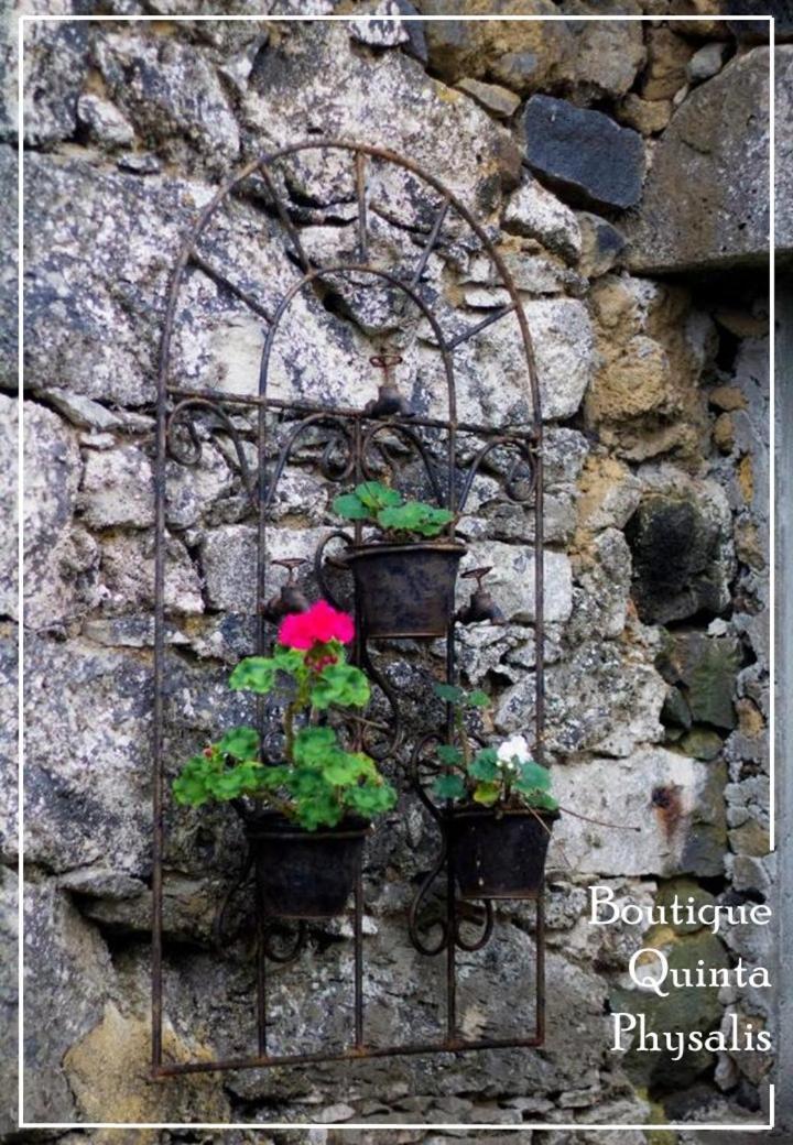 شقة Boutique Quinta Physalis Fenais da Luz المظهر الخارجي الصورة